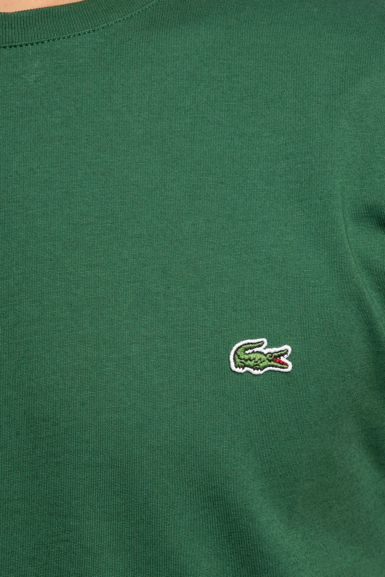 Lacoste T-shirt Regular Man